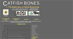 Desktop Screenshot of catfishbone.ansp.org