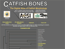 Tablet Screenshot of catfishbone.ansp.org